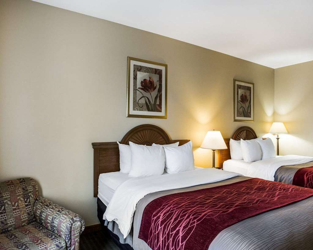 Quality & Hotel